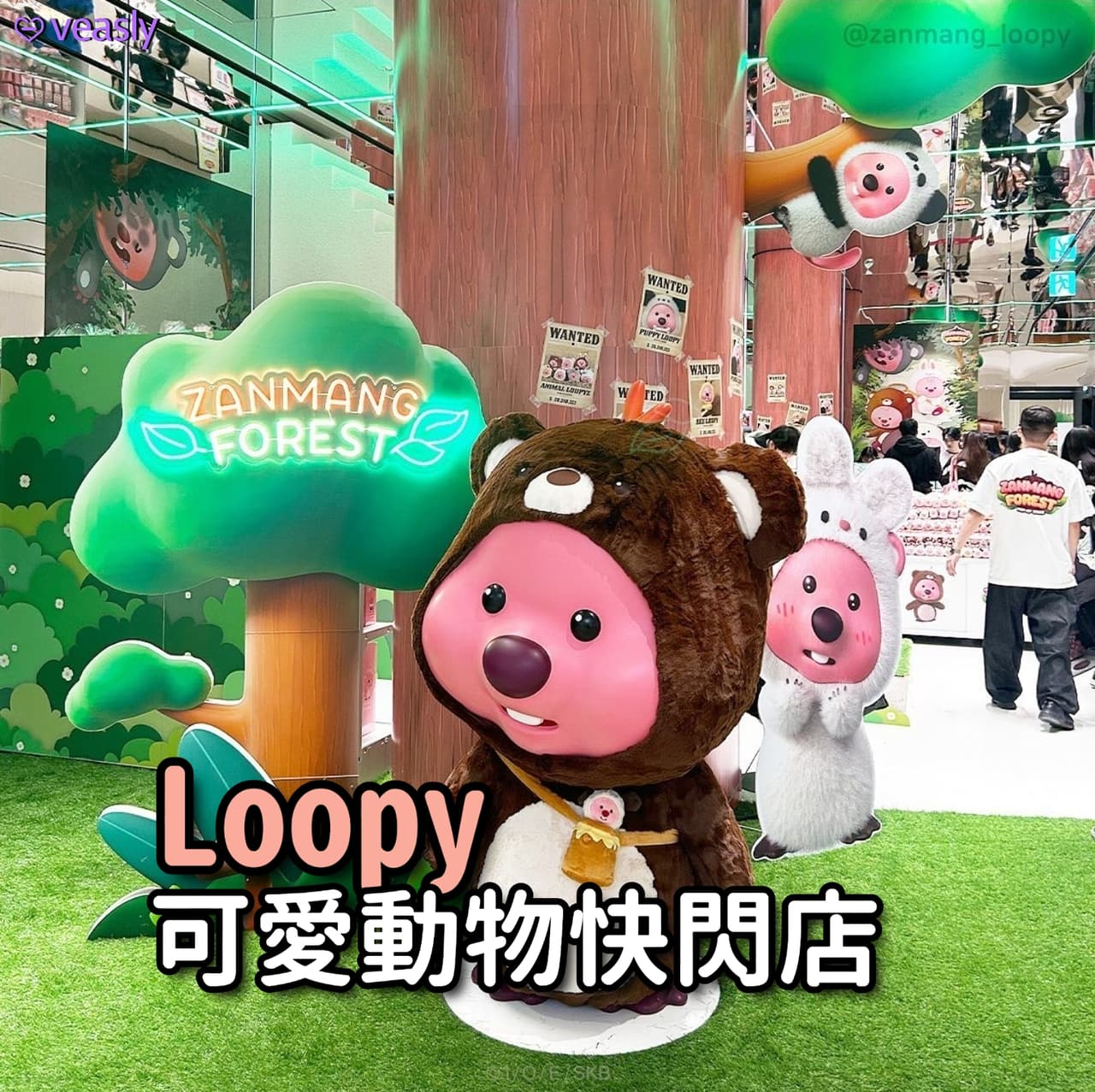 Loopy可愛動物快閃店開始啦~😍 - veasly韓國代購平台 (@leihaibinduo) | Dcard