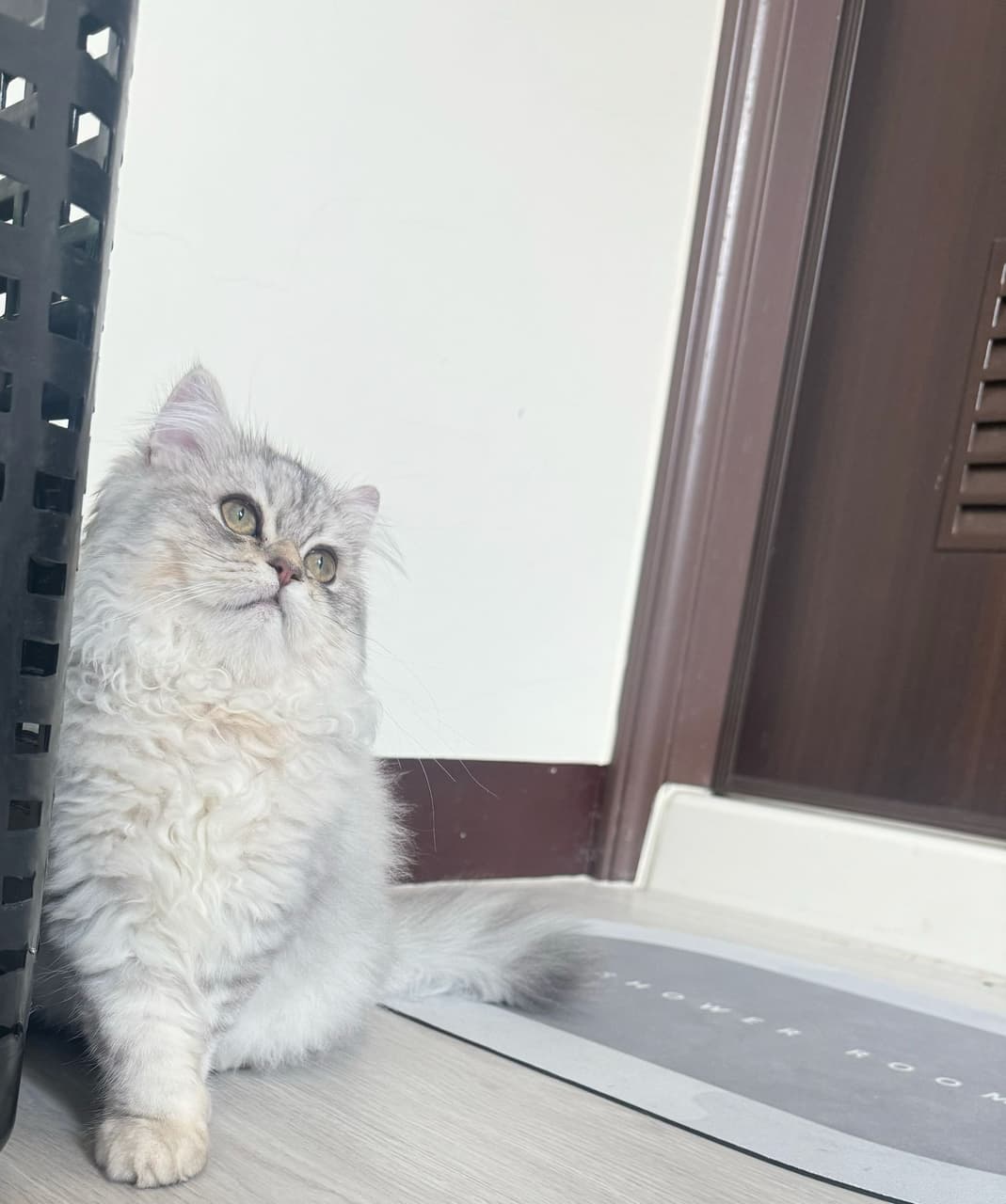 megapx