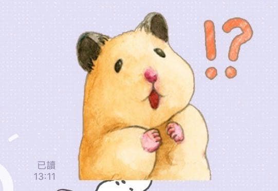 尋找黃金鼠貼圖 女孩板 Dcard