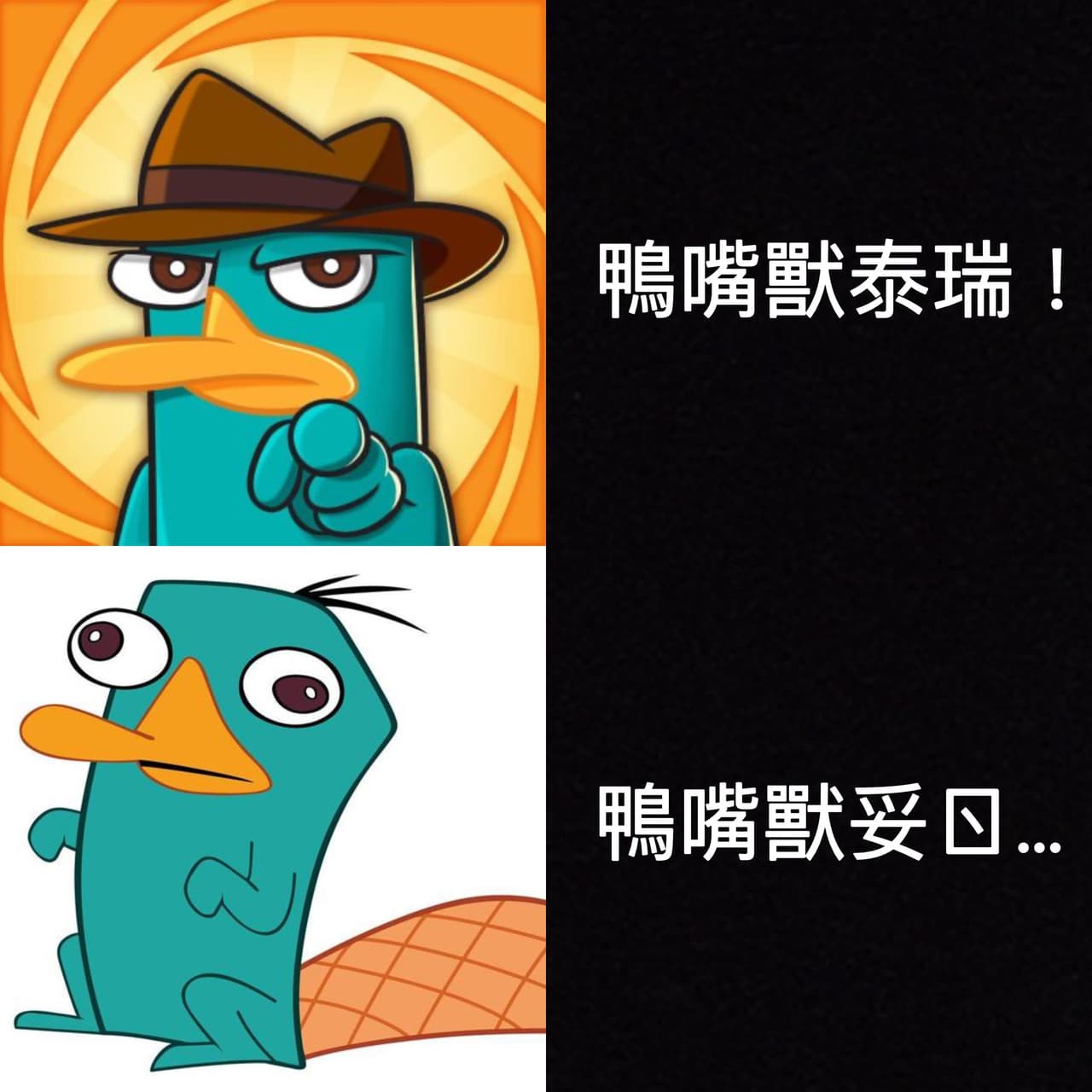 #地獄 睿智ㄉ眼神 - 梗圖板 | Dcard