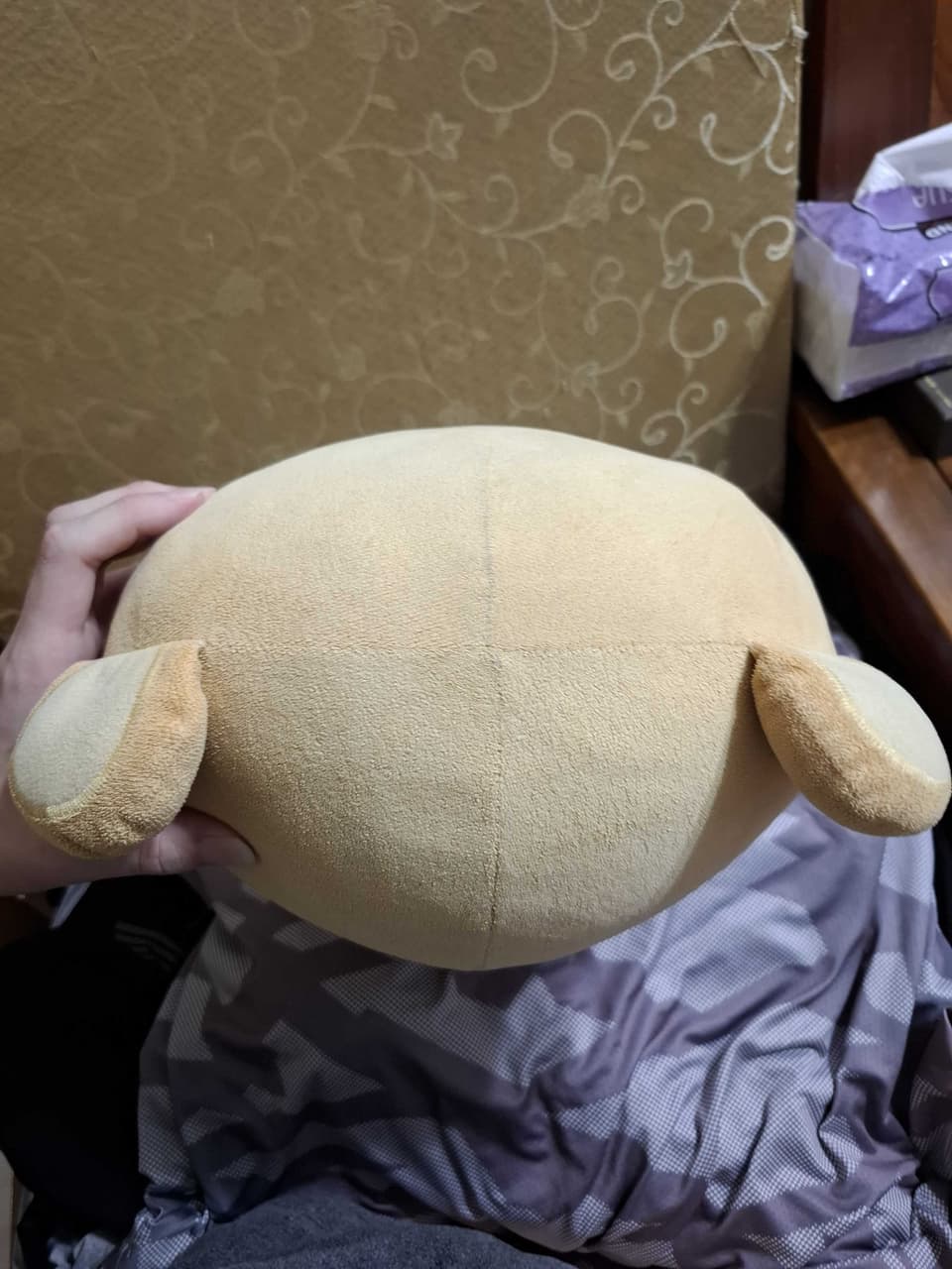 megapx