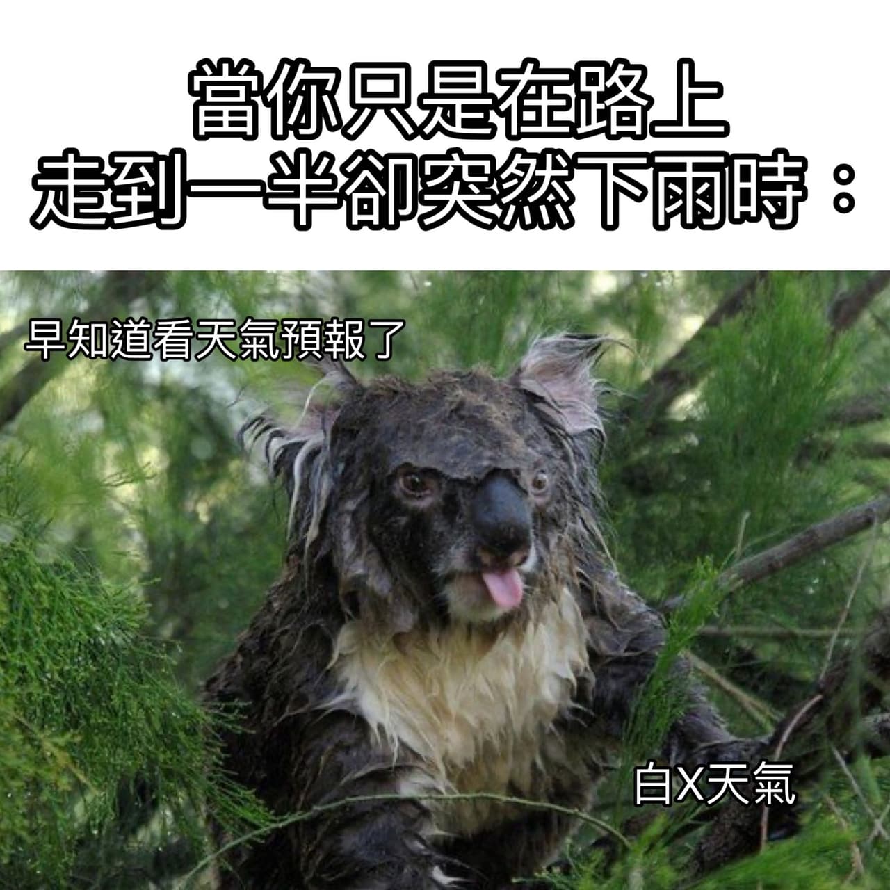 雨神同行 - 梗圖板 | Dcard