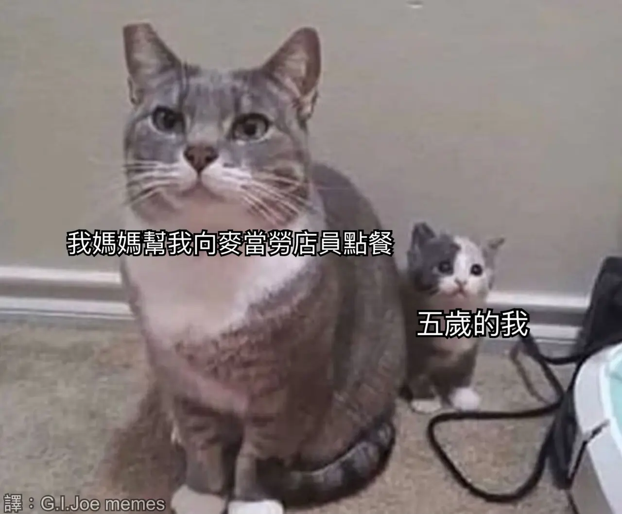 #翻譯 也可以用在E人幫I人擋社交 - 梗圖板 | Dcard