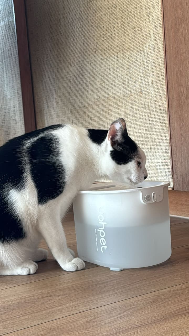 megapx