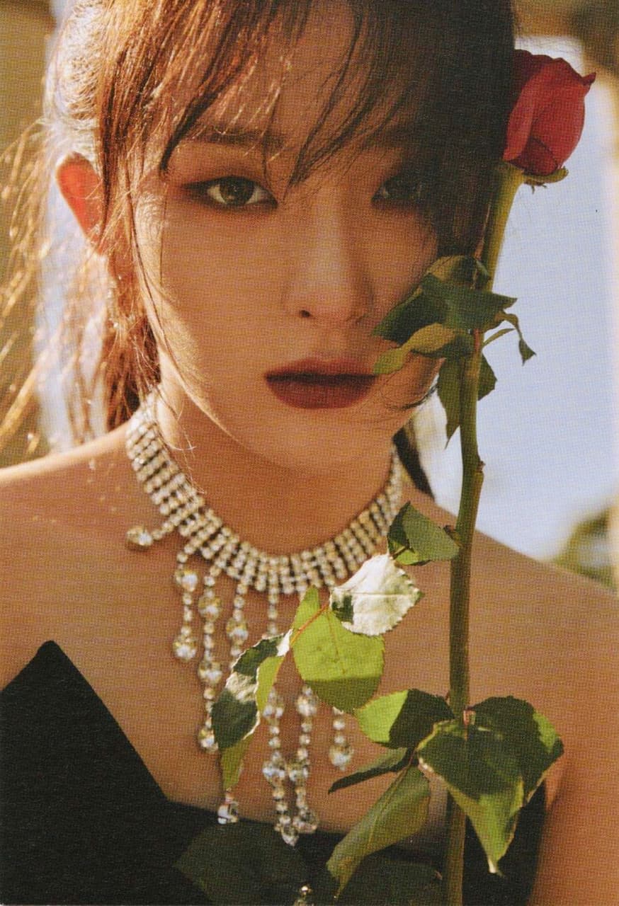#分享 Red Velvet的藝術美學🌹🐅 - 追星板 | Dcard