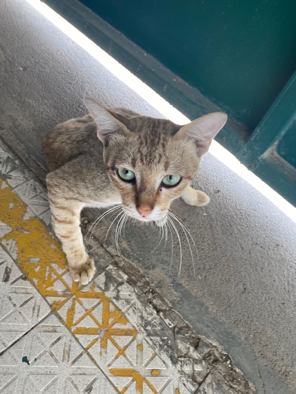 請益遇到情緒化女主管…是不是轉換跑道- 工作板| Dcard