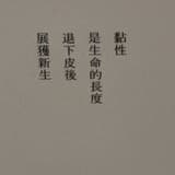 台灣’s Bear