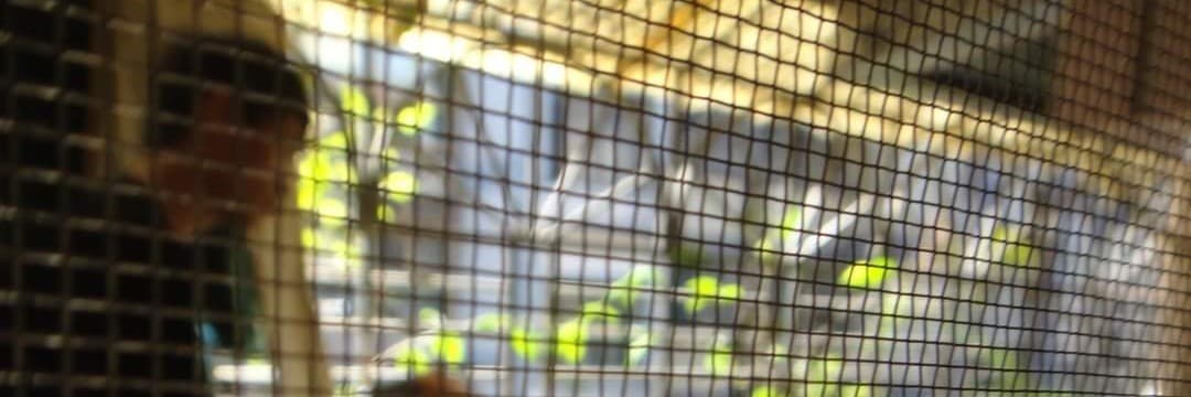 不為什麼