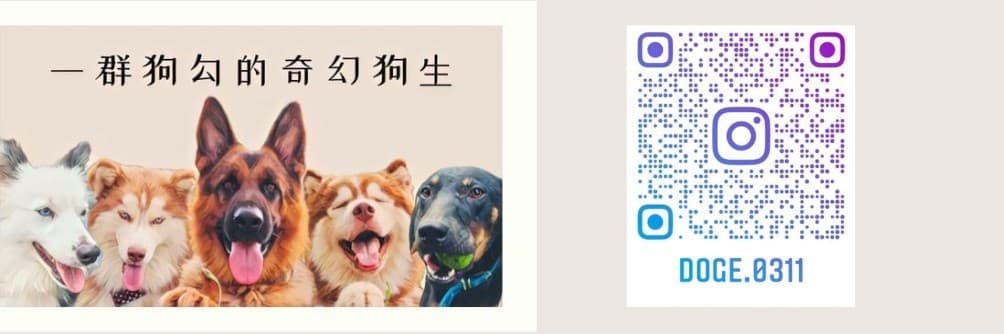 一群狗勾的奇幻狗生