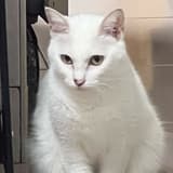 sandy516888kiki