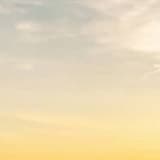 新生