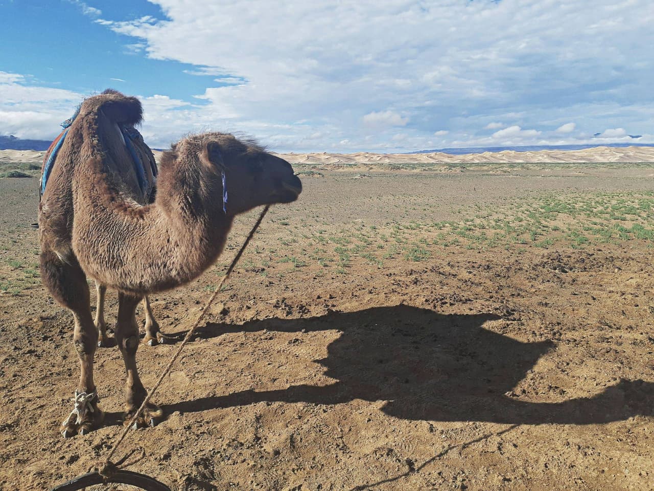 megapx