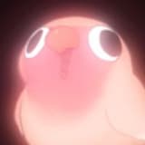 匿名