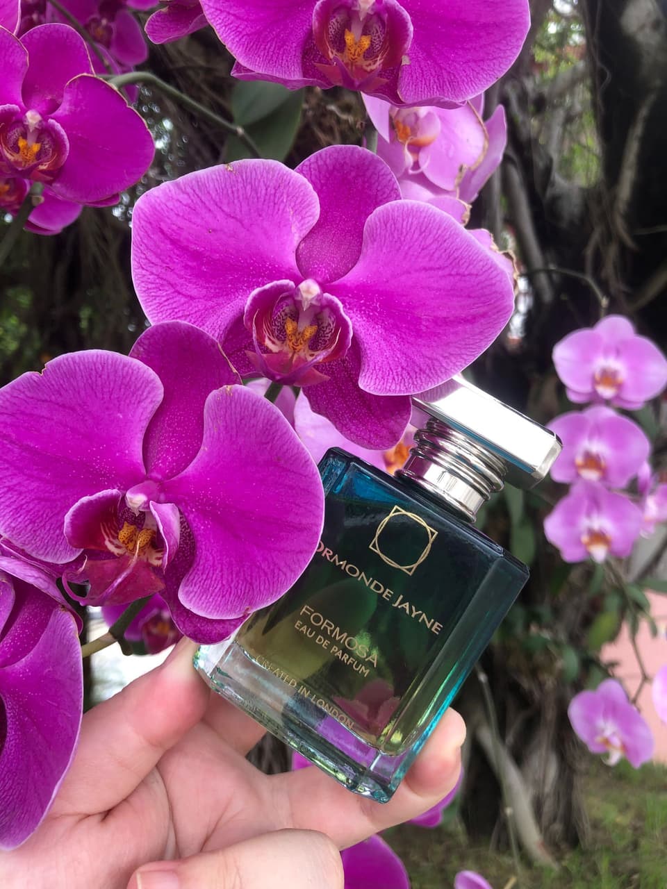 Ormonde Jayne Formosa 臺灣限定- YiYa (@yiya118) | Dcard