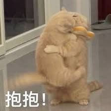 抱睡抱出感情嗎（5） - 彩虹板 | Dcard