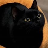 qqqq55544444