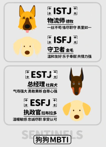 MBTI狗狗版🐶🐶🐶你是哪種狗XDDD - MBTI板 | Dcard