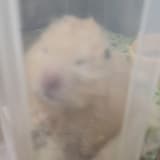 我是D卡的低卡