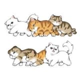 joyodogob