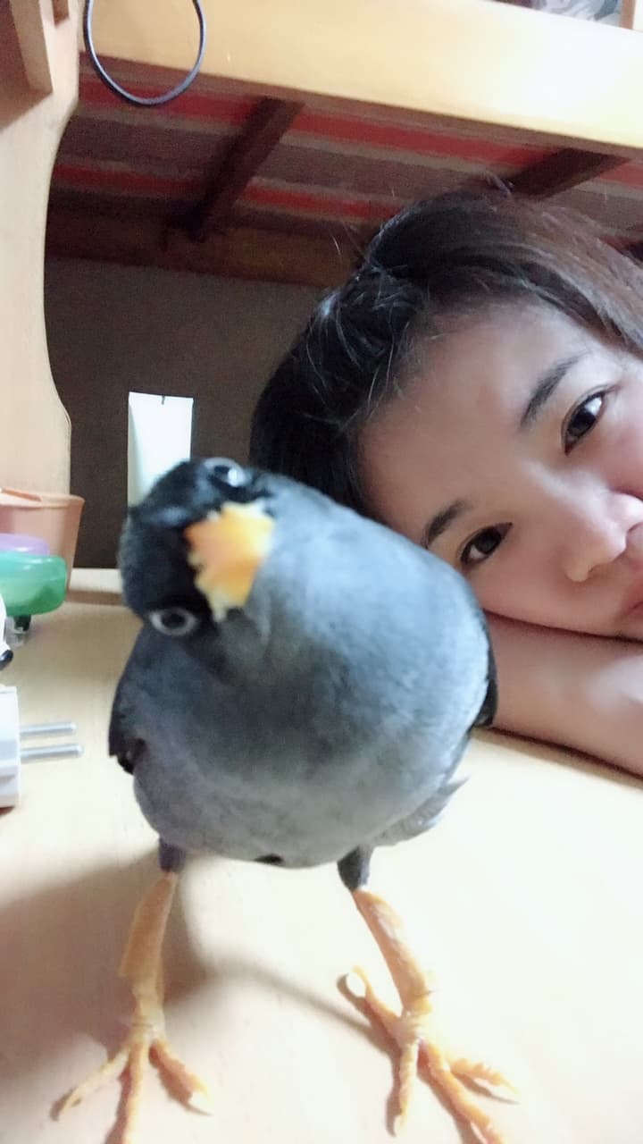 megapx