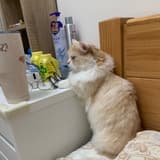 aaaaa