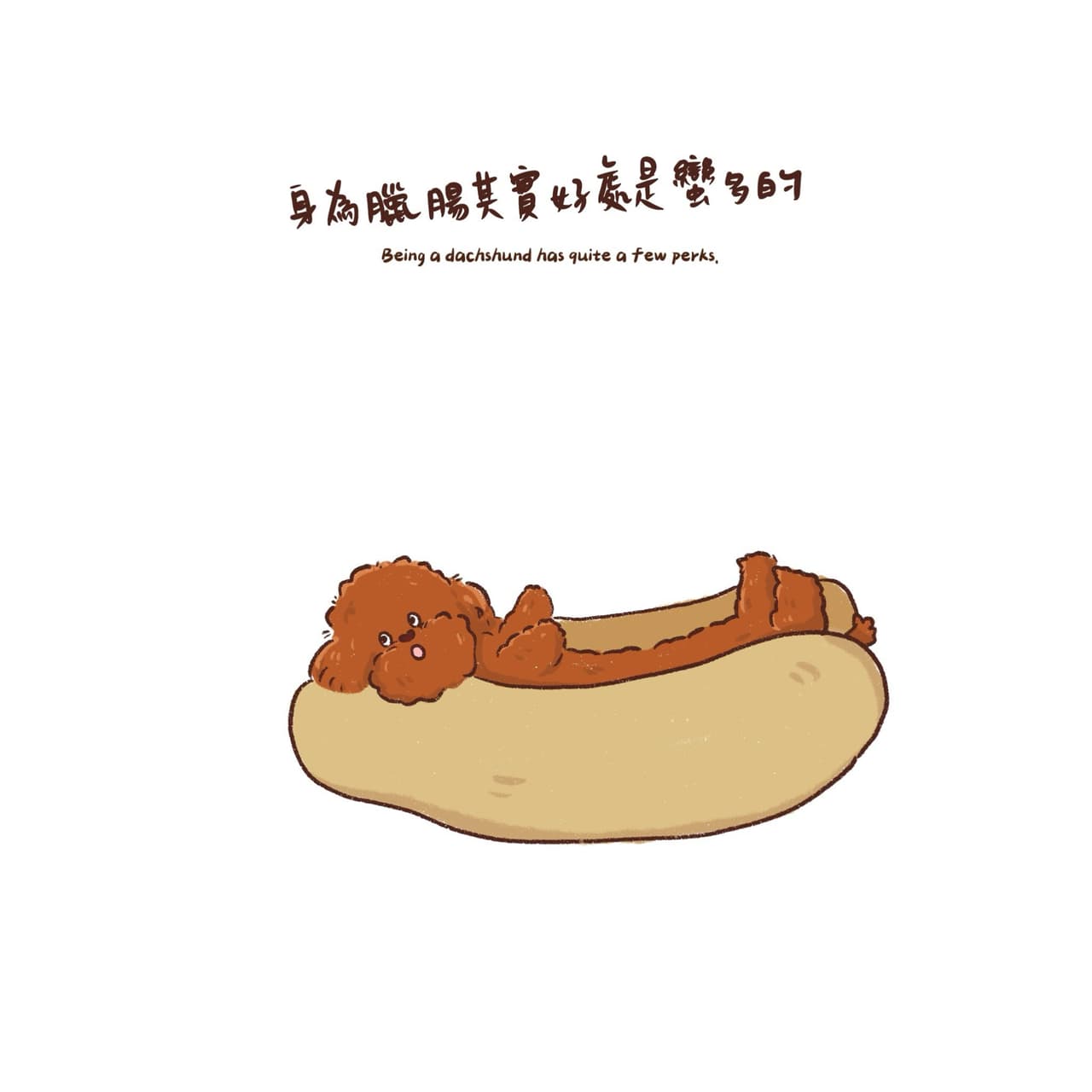 其實貴賓狗不是貴賓狗 - 插畫板 | Dcard