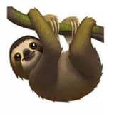 milomilomilo