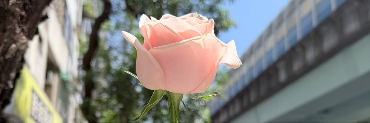宗介