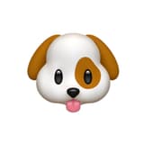 hno3ggbooo
