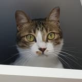 sallysara