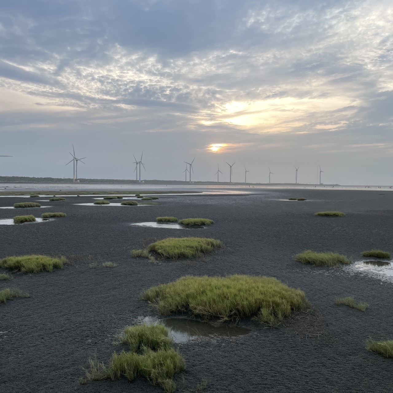 國內遊記 高美濕地半日遊～