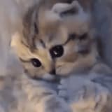 abcdefghijklmn2