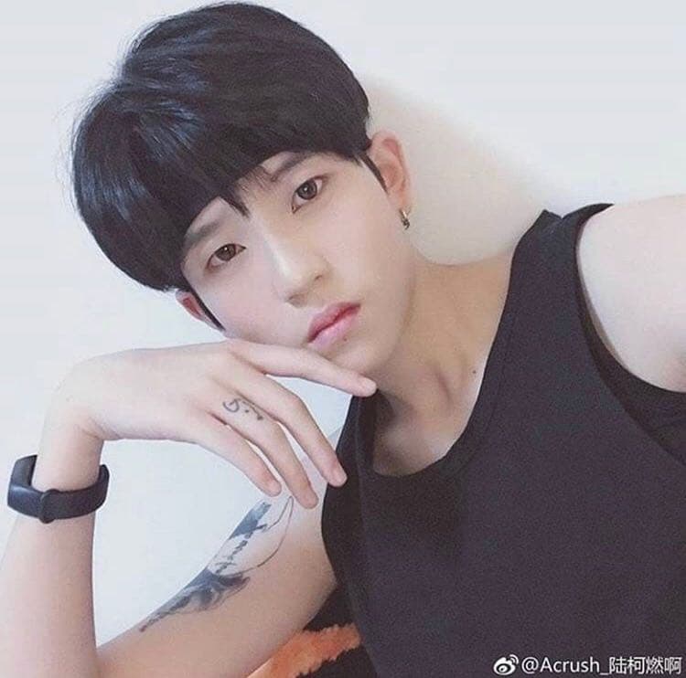 果汁美貌陸柯燃🥐 - 追星板 | Dcard