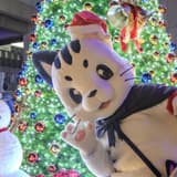 nyanrou_neko
