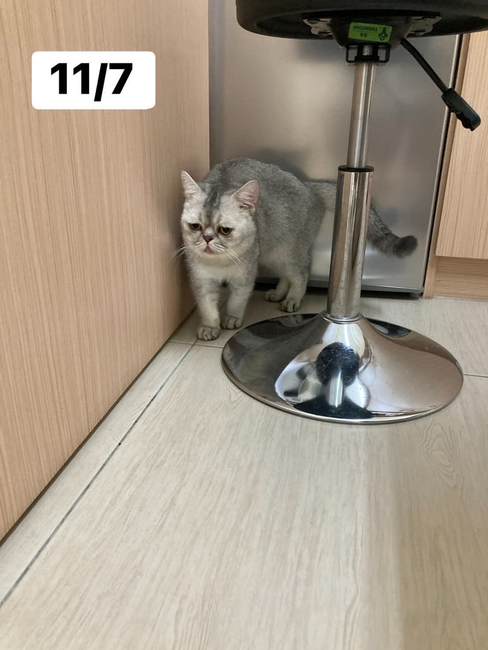 megapx
