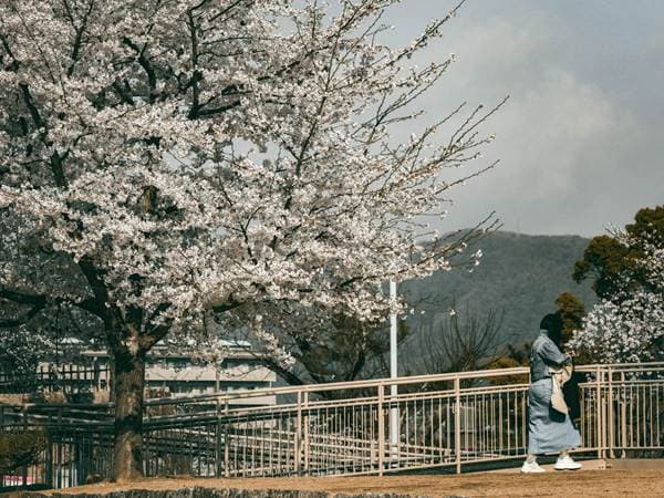 megapx