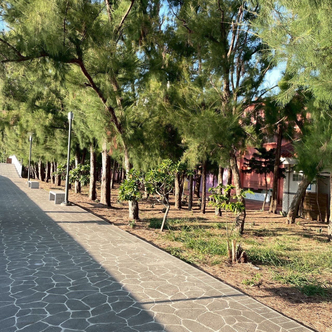 國內遊記 嘉義東石漁港一日遊～