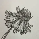 floralmyway