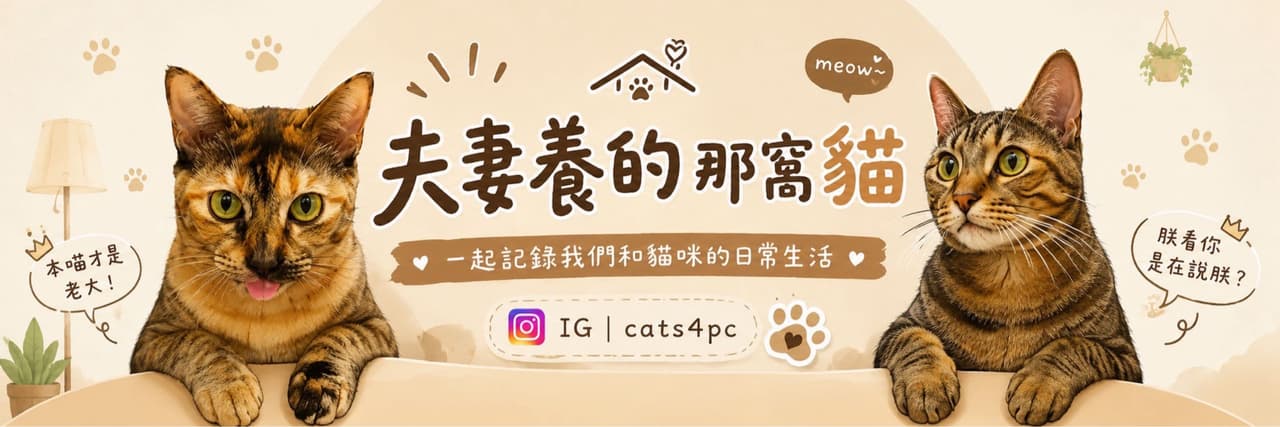 夫妻養的那窩貓