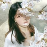 兔子🐰