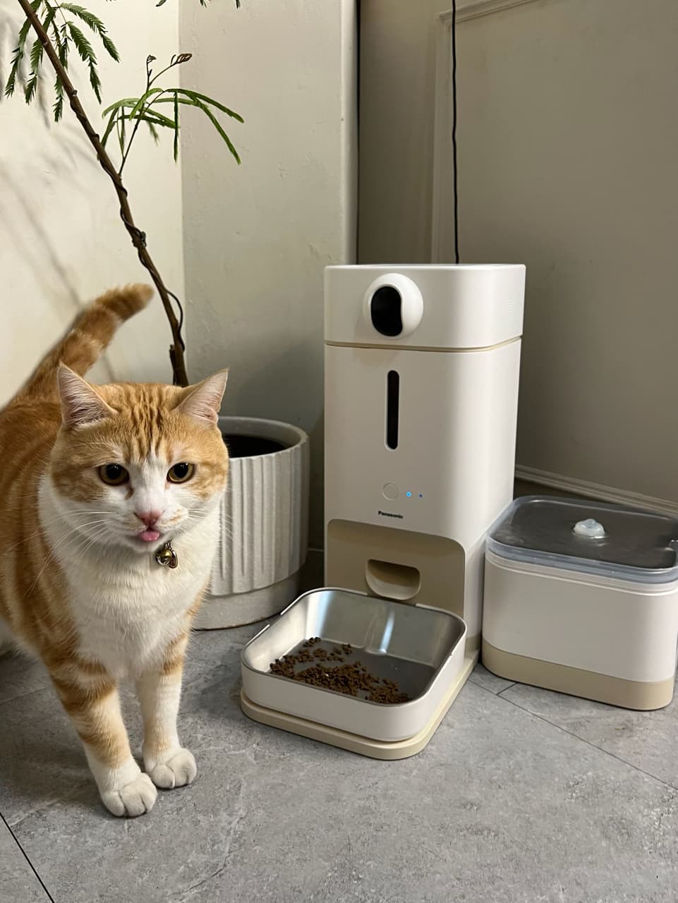 megapx