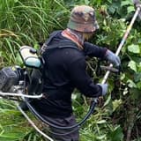 除草蘇先生