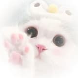 yuki1126
