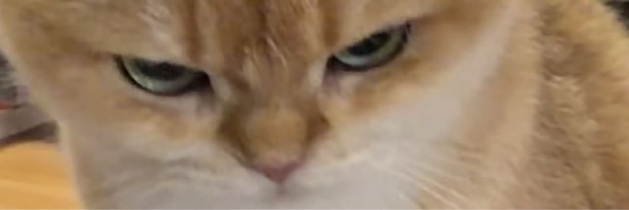 七77