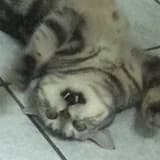 159