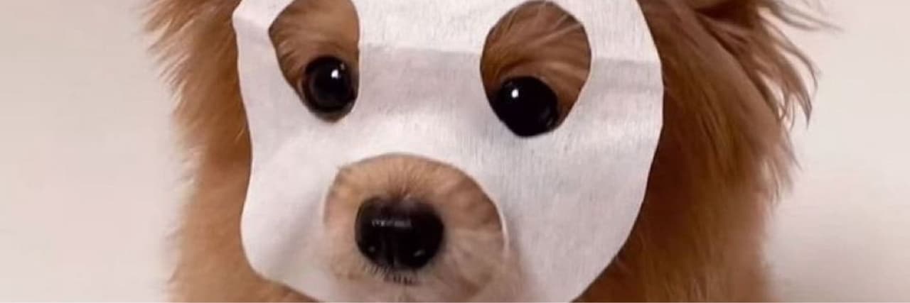 piggy