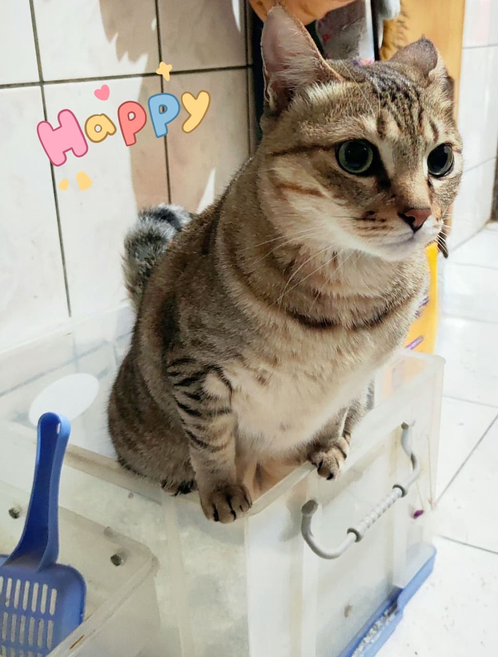 megapx