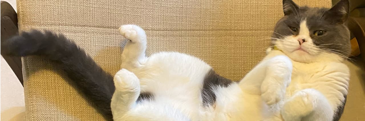 魔法獨角獸