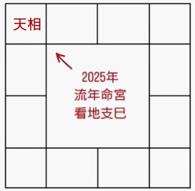 紫微斗數2025流年運勢「天相」 - 閒聊板 | Dcard