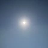 樹葉